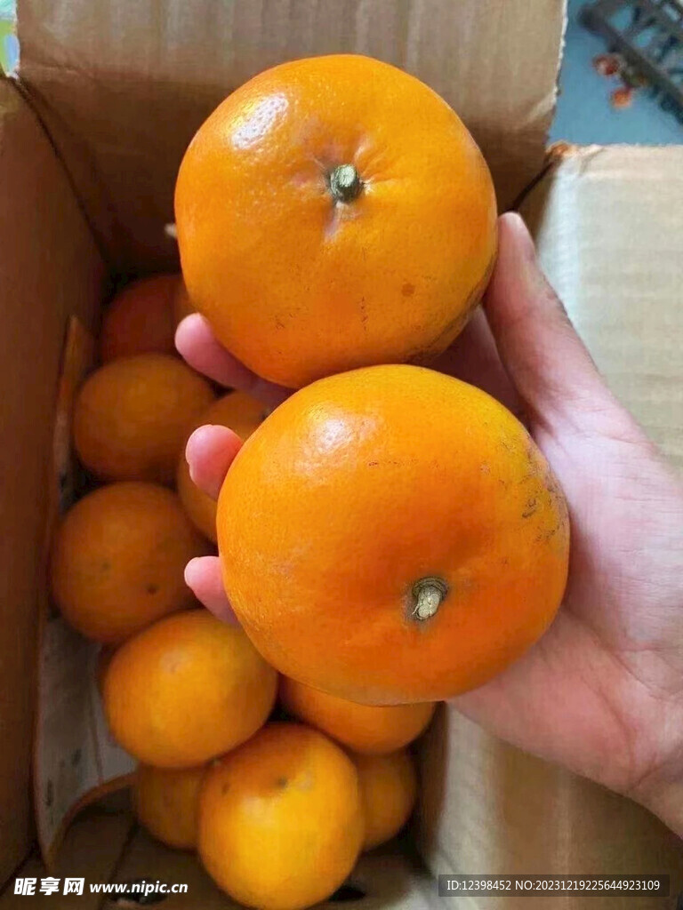 橘子