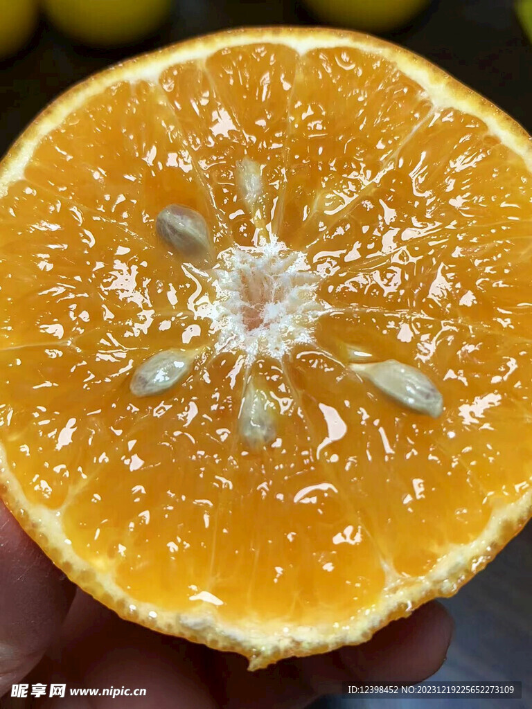 橘子