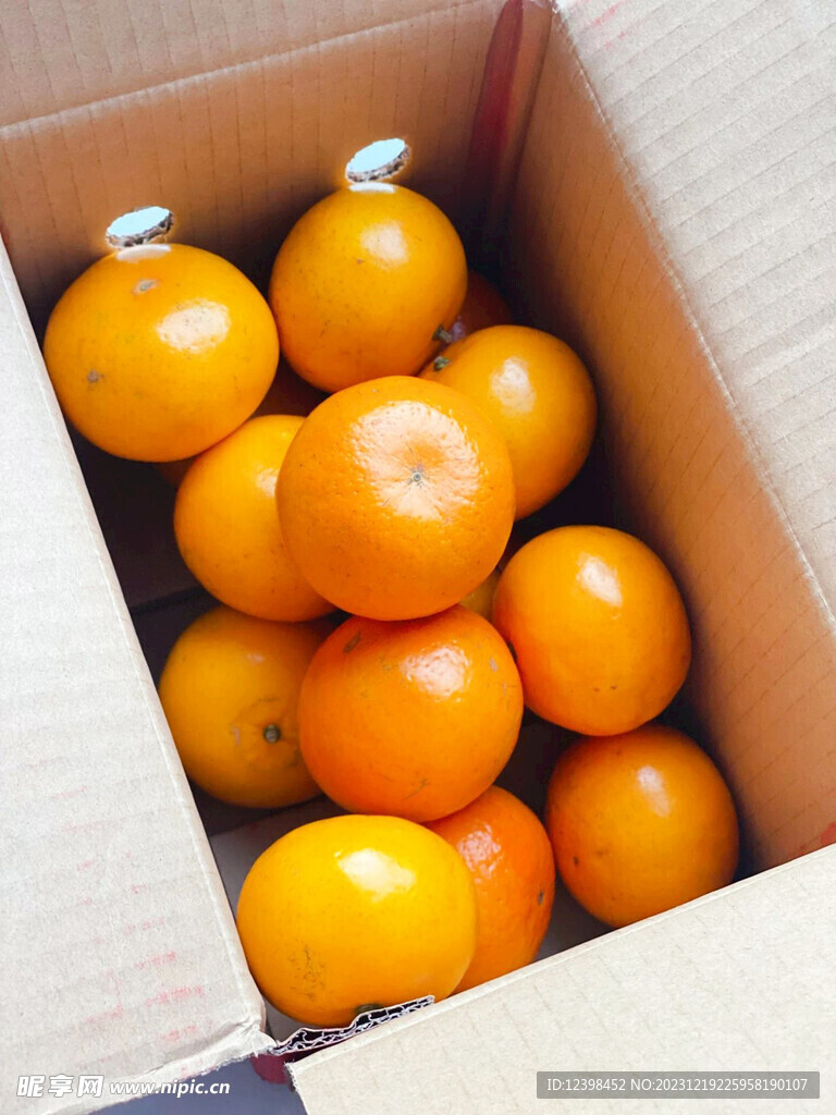沃柑