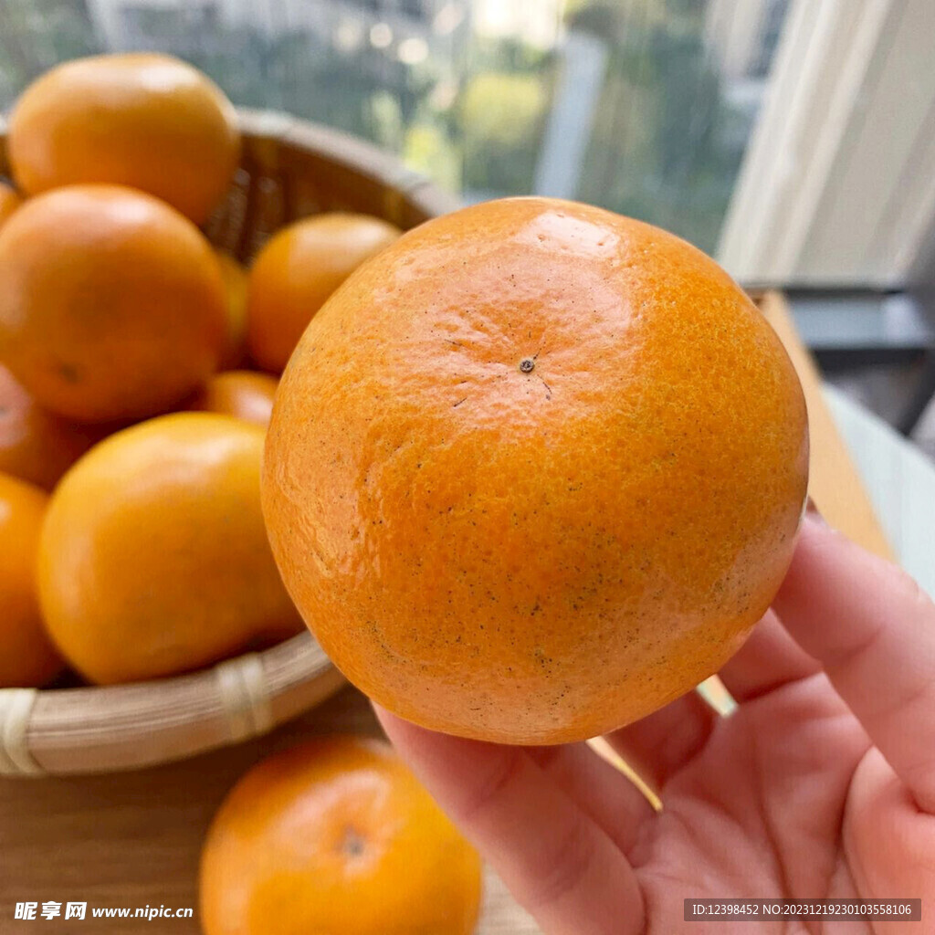 沃柑