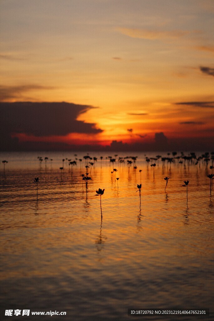 夕阳晚霞图片