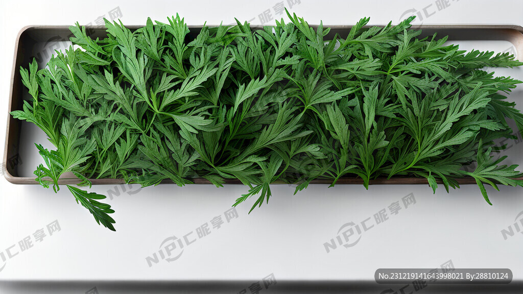 一大把艾草 放在桌子上