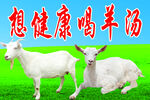 羊肉汤