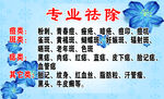 祛斑祛痘名片