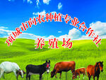 向农养殖场
