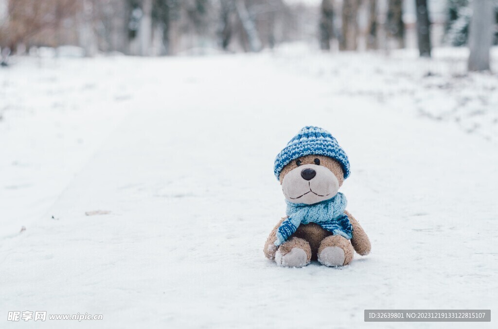 雪中的小熊