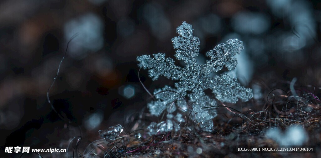 雪花 