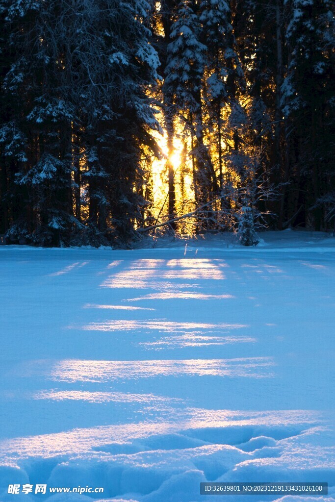 雪中朝霞