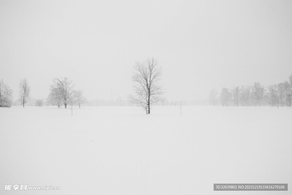 漫天大雪