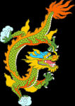 龙