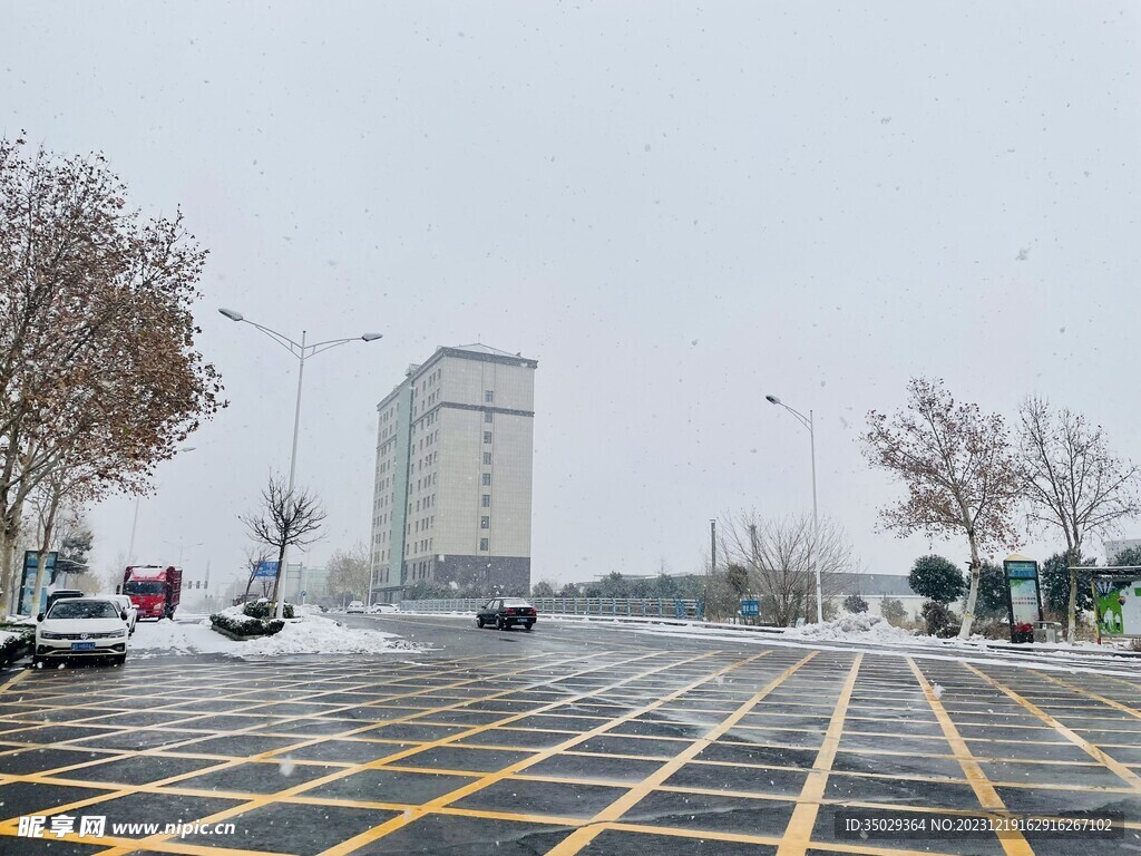 下雪天下雪了美景鹅毛大雪雪花