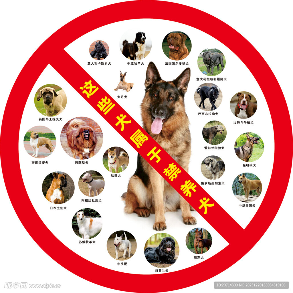 成都市禁养22种烈性犬