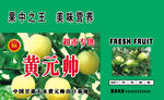 黄元帅