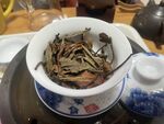 白茶茶底