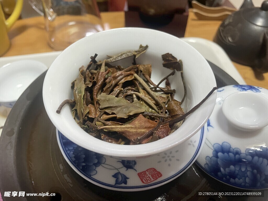 白茶茶底