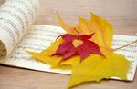 音乐乐谱和秋天落叶