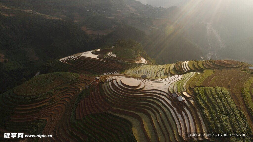 日出 梯田