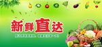 新鲜直达绿色背景
