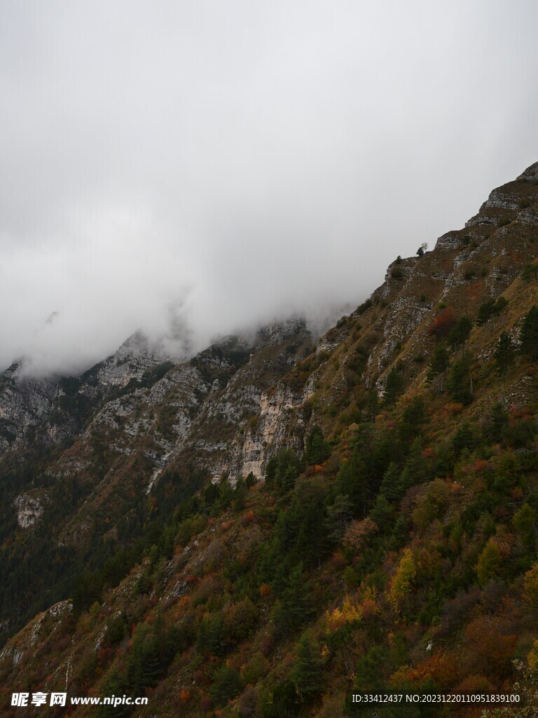 高山