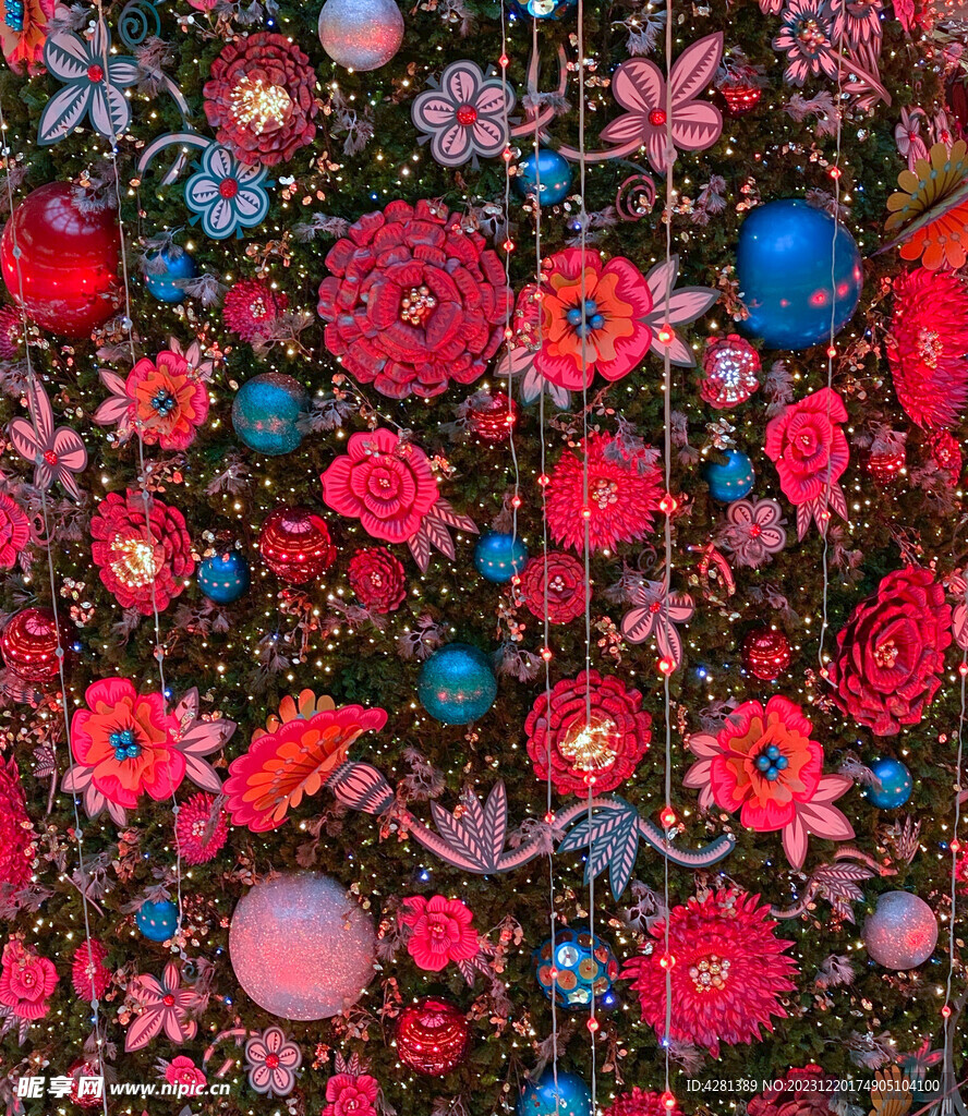 花卉