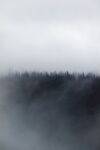 黑色森林
