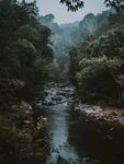 小溪风景