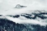 高山森林