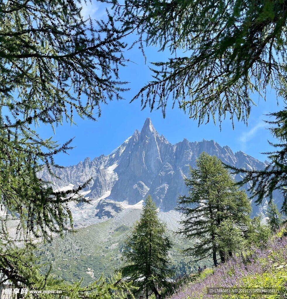 丛林