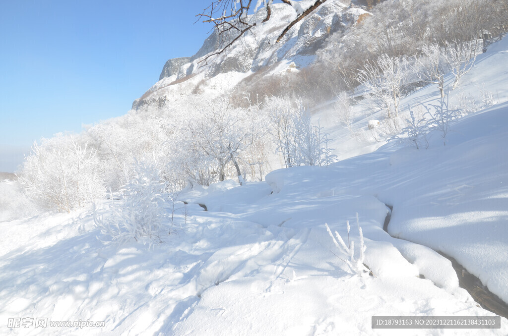 雪景雾凇