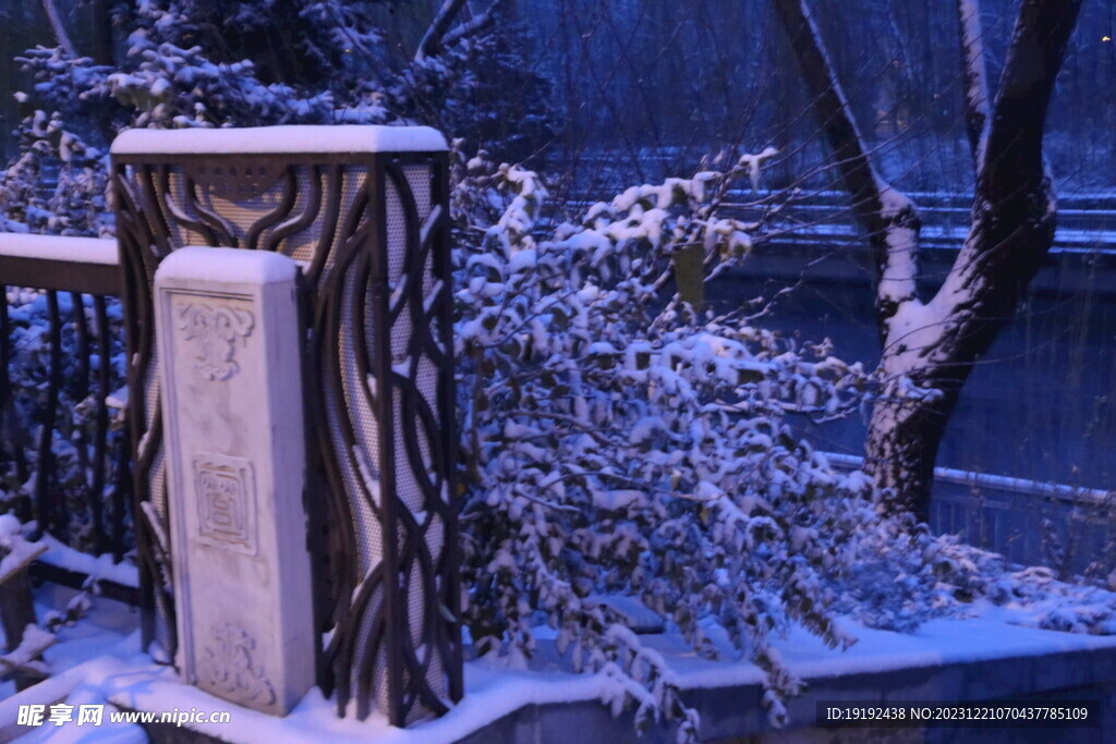 冬雪风景 