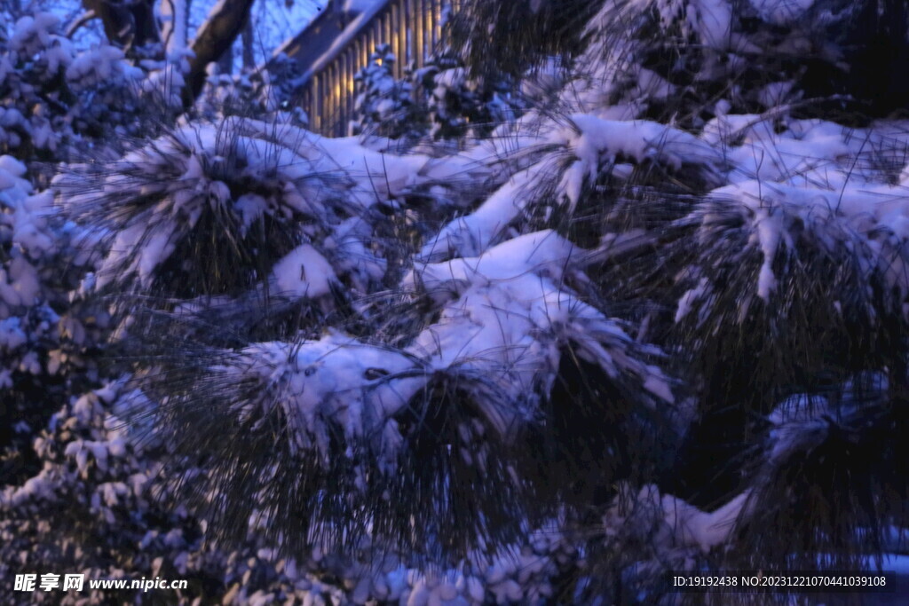 冬雪风景