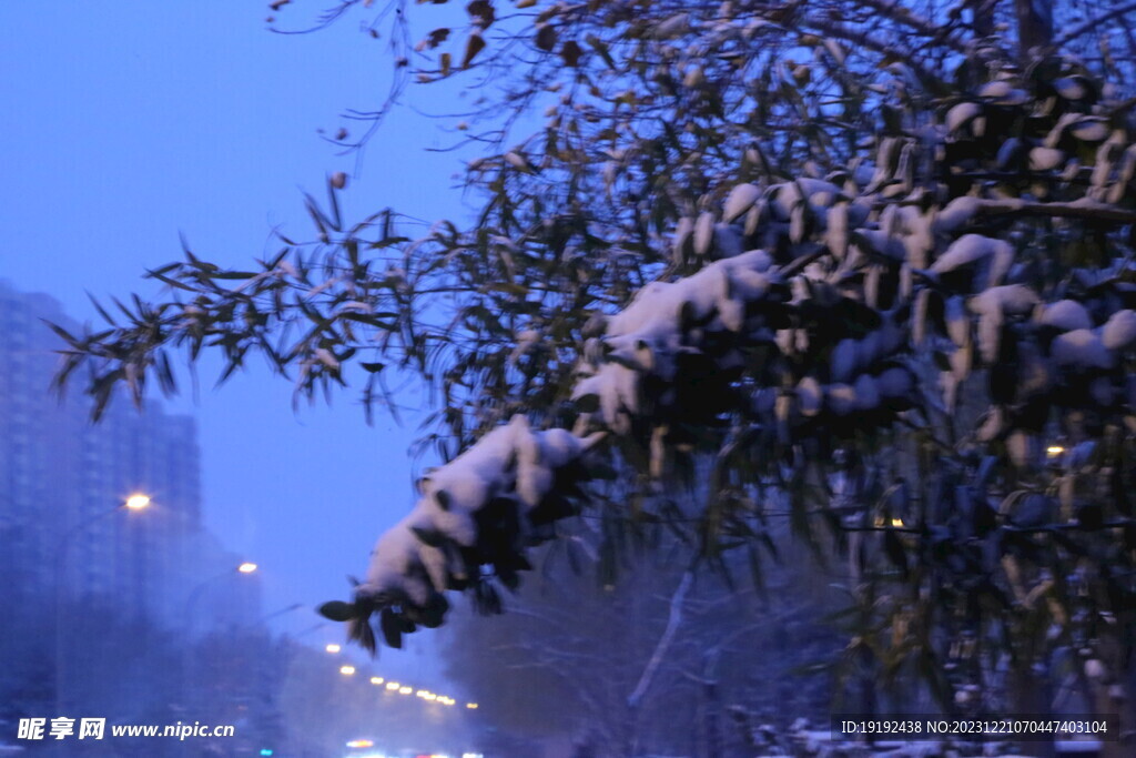 冬雪风景