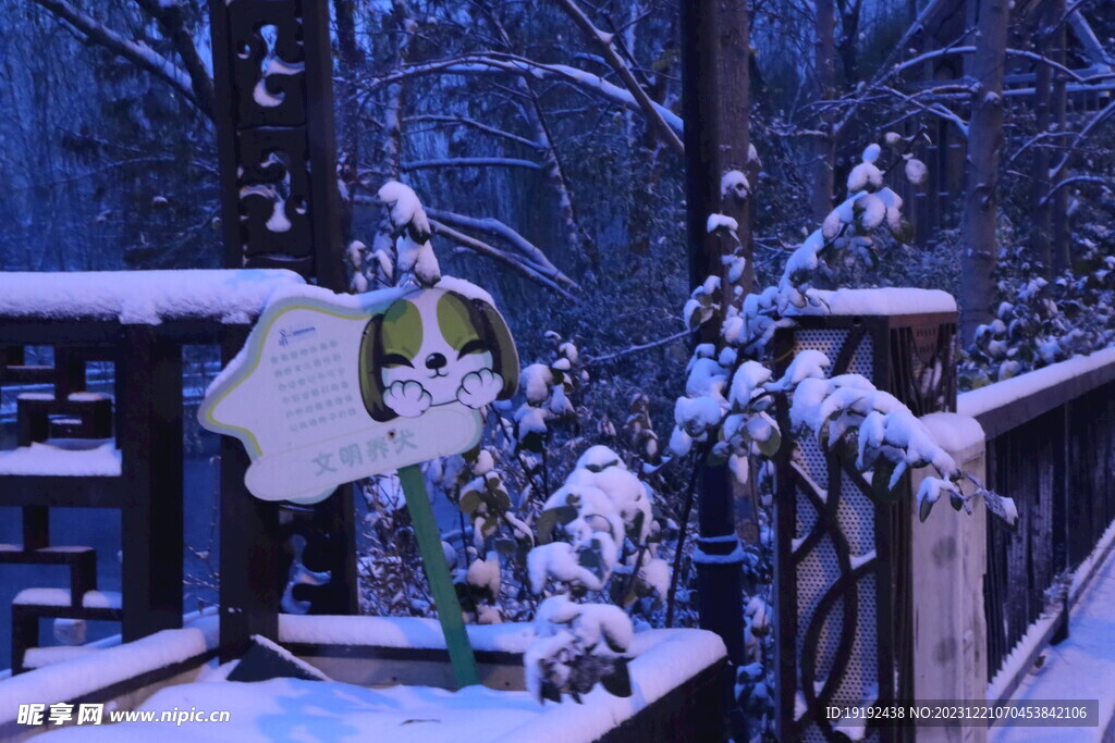 冬雪风景