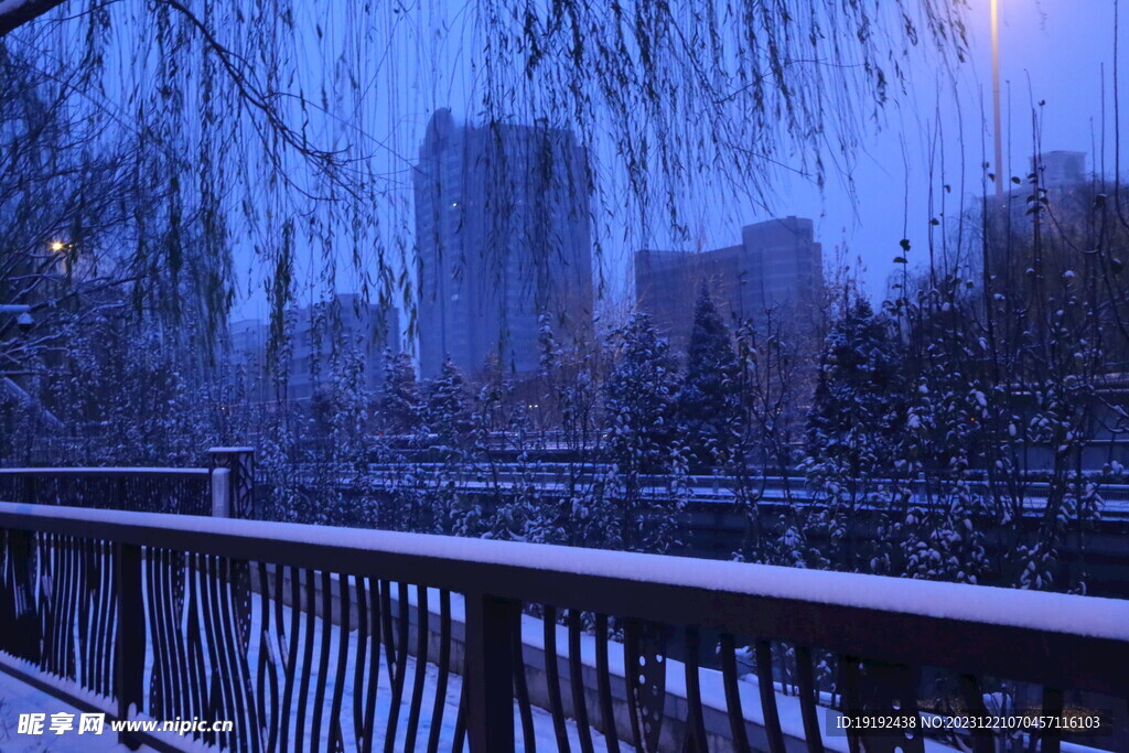 冬雪风景