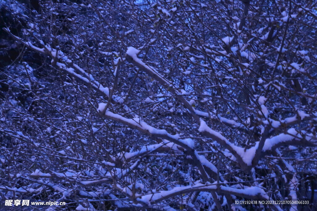 冬雪风景