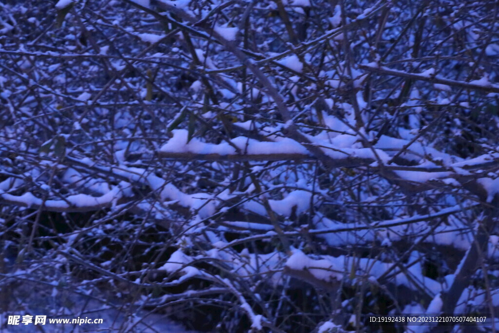 冬雪风景