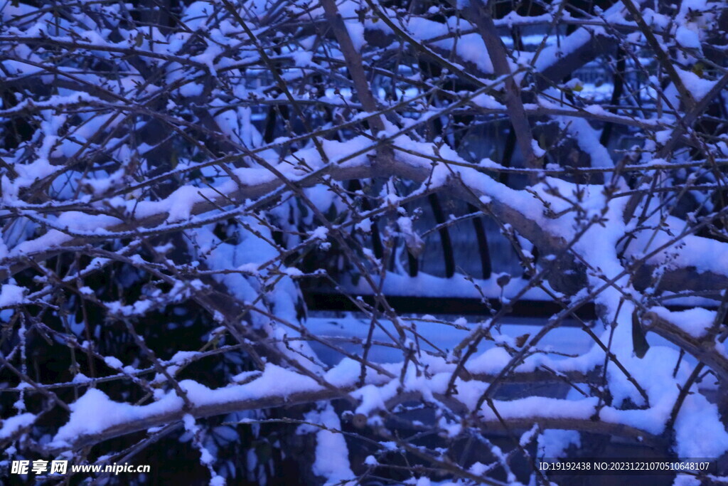 冬雪风景