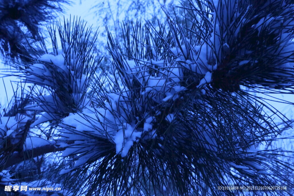 冬雪风景 