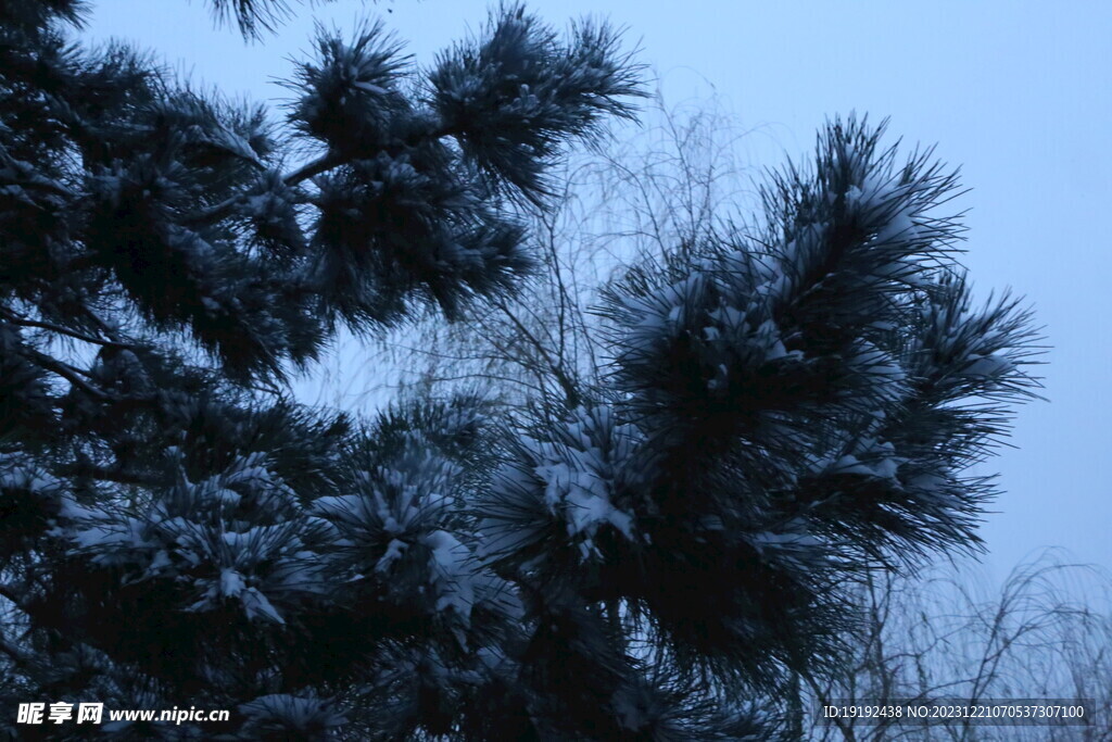 冬雪风景