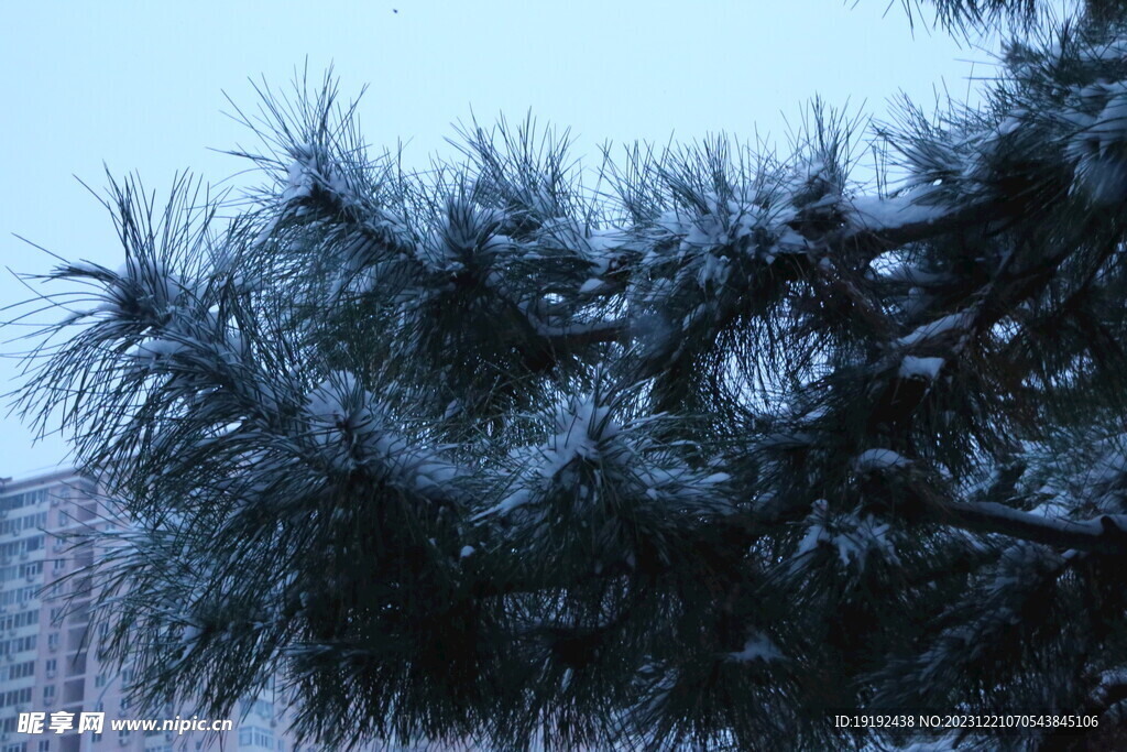 冬雪风景