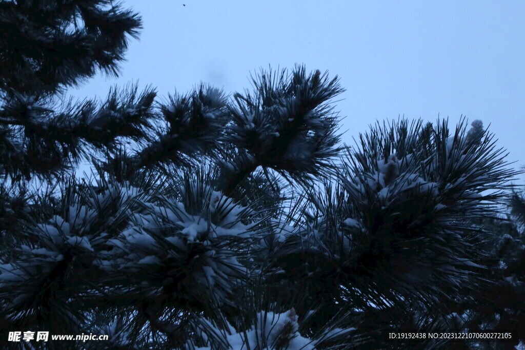 冬雪风景