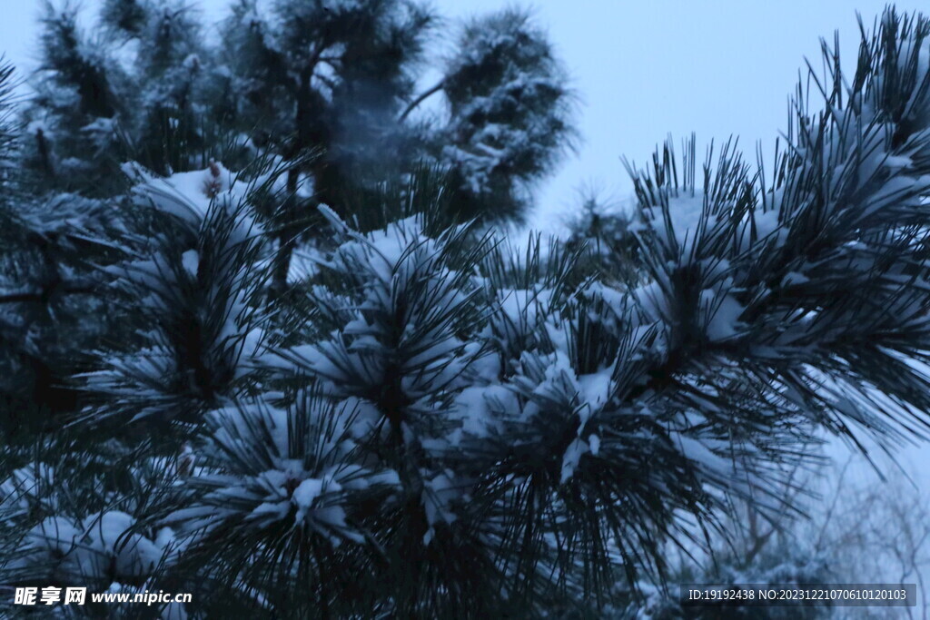 冬雪风景