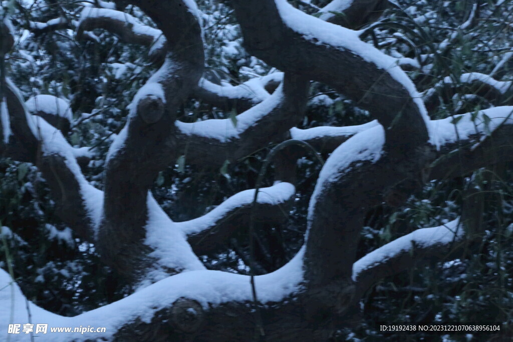 冬雪风景