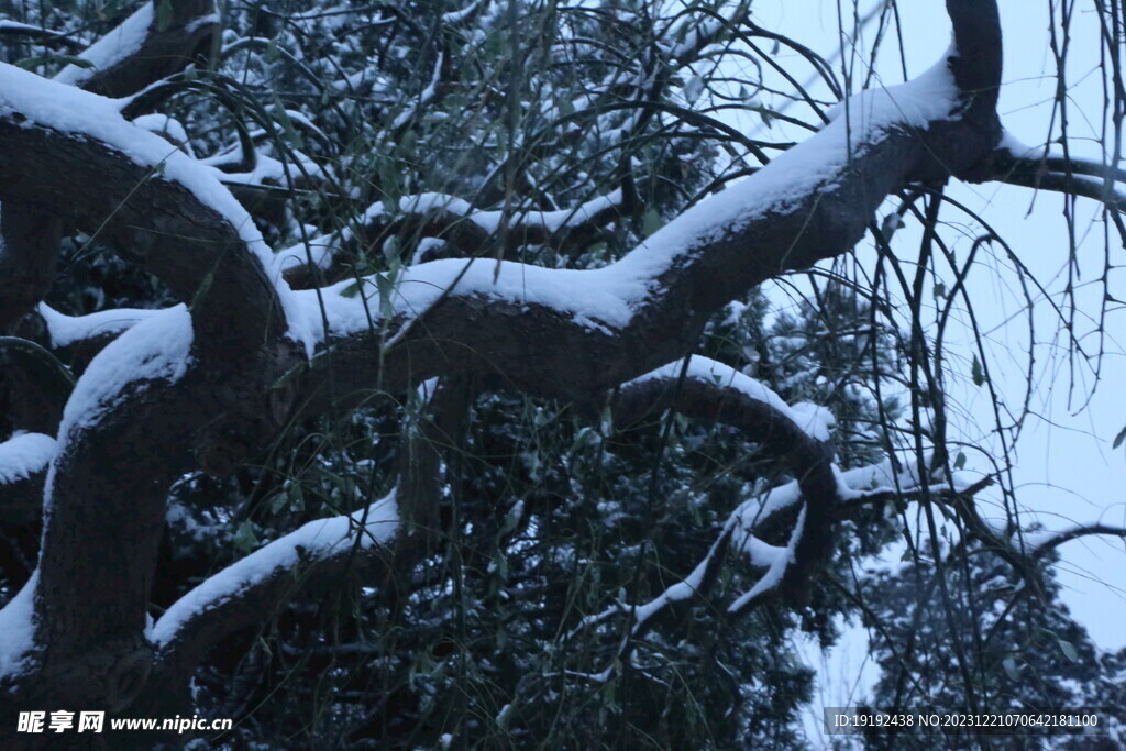 冬雪风景