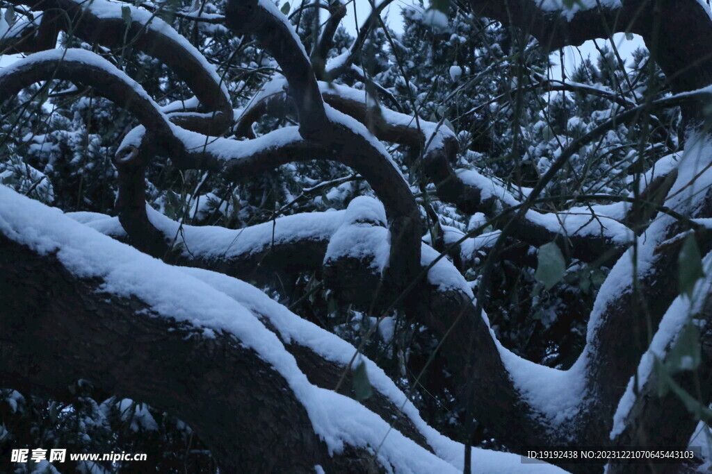 冬雪风景 