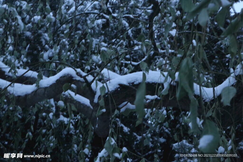 冬雪风景