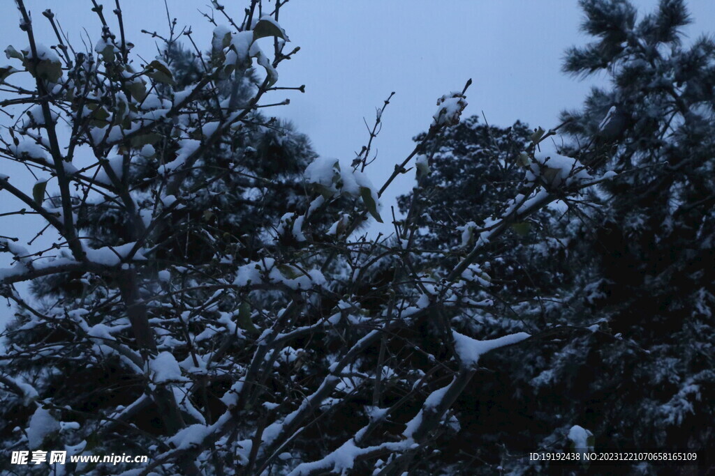 冬雪风景