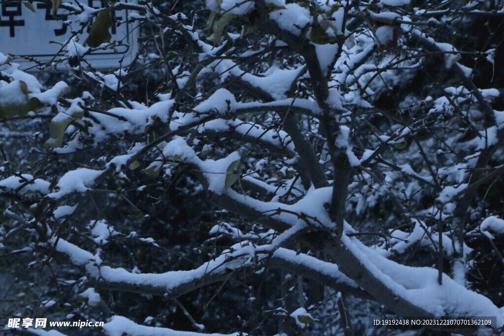 冬雪风景