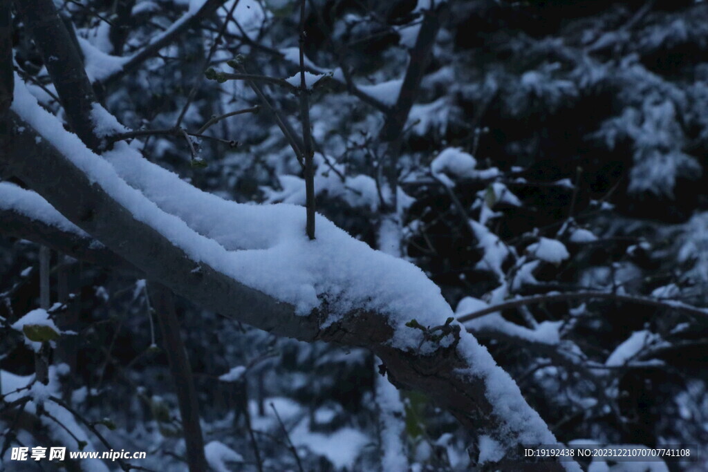 冬雪风景