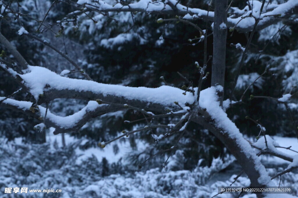 冬雪风景